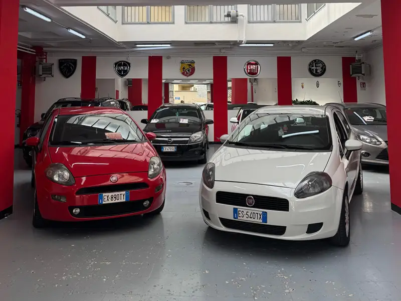 Scegliete l’Ibrido, Ottimizzate il Vostro Risparmio - Rotolo Automobili